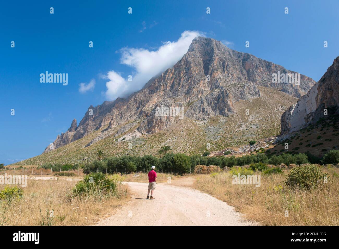 Custonaci, Trapani, Sicilia, Italia. Solitario visitatore su pista polverosa tra i campi ammirando la vista dell'imponente parete sud del Monte cofano. Foto Stock