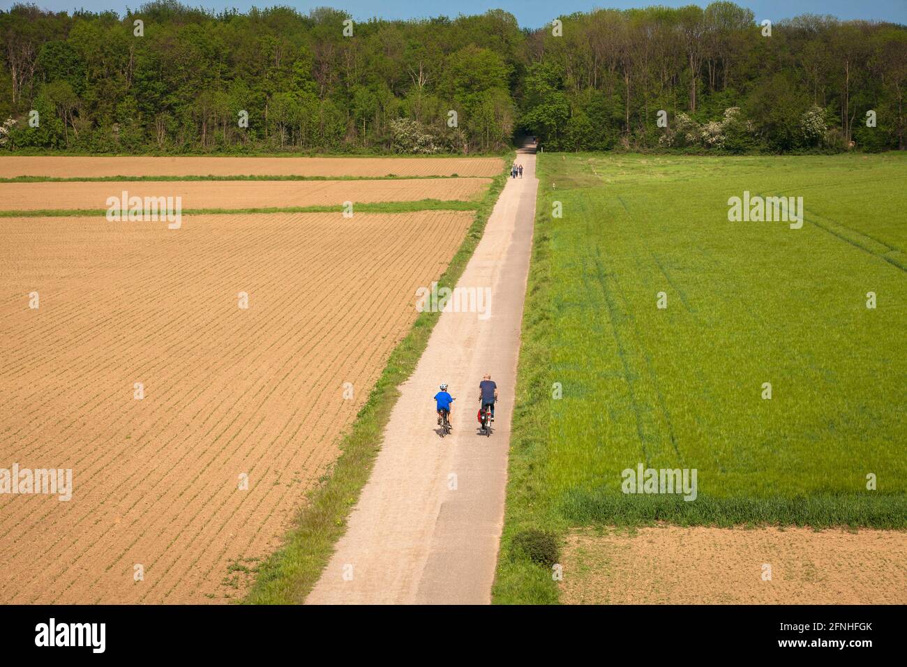 Strada stretta nel parco paesaggistico Belvedere tra i distretti di Bocklemuend e Muengersdorf, Colonia, Germania. Weg im Belvedere Landschaftspark Foto Stock