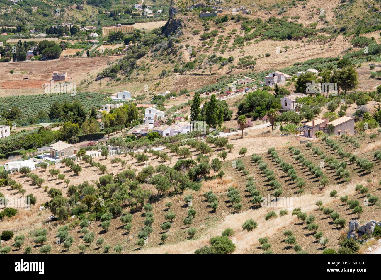 Scopello, Trapani, Sicilia, Italia. Vista sul tipico paesaggio agricolo dalla Torre Bennistra, oliveto in primo piano. Foto Stock