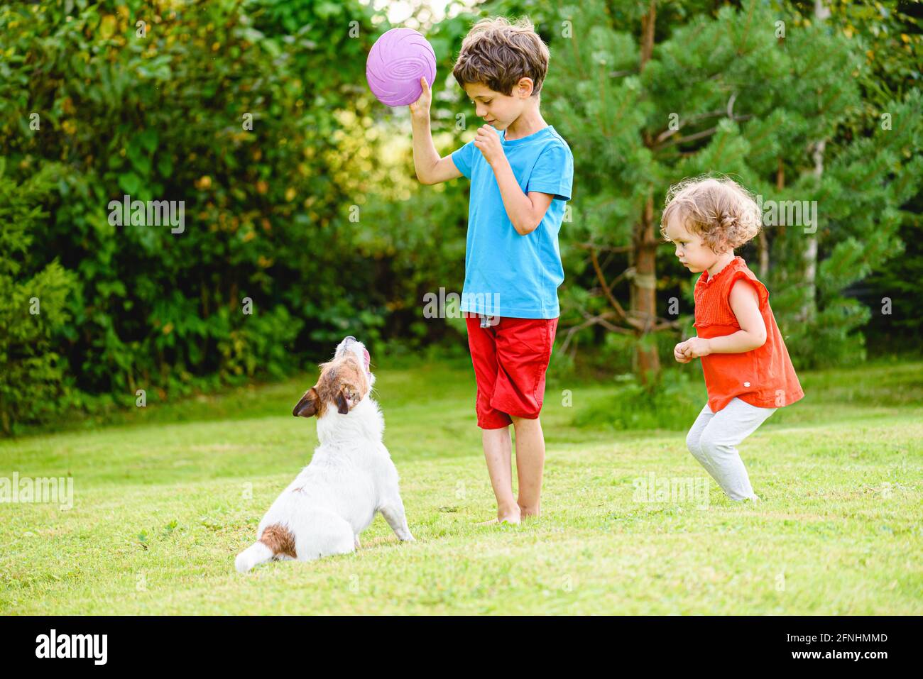 I bambini addestrano l'animale domestico di famiglia a giocare con il disco volante e. recuperarlo Foto Stock