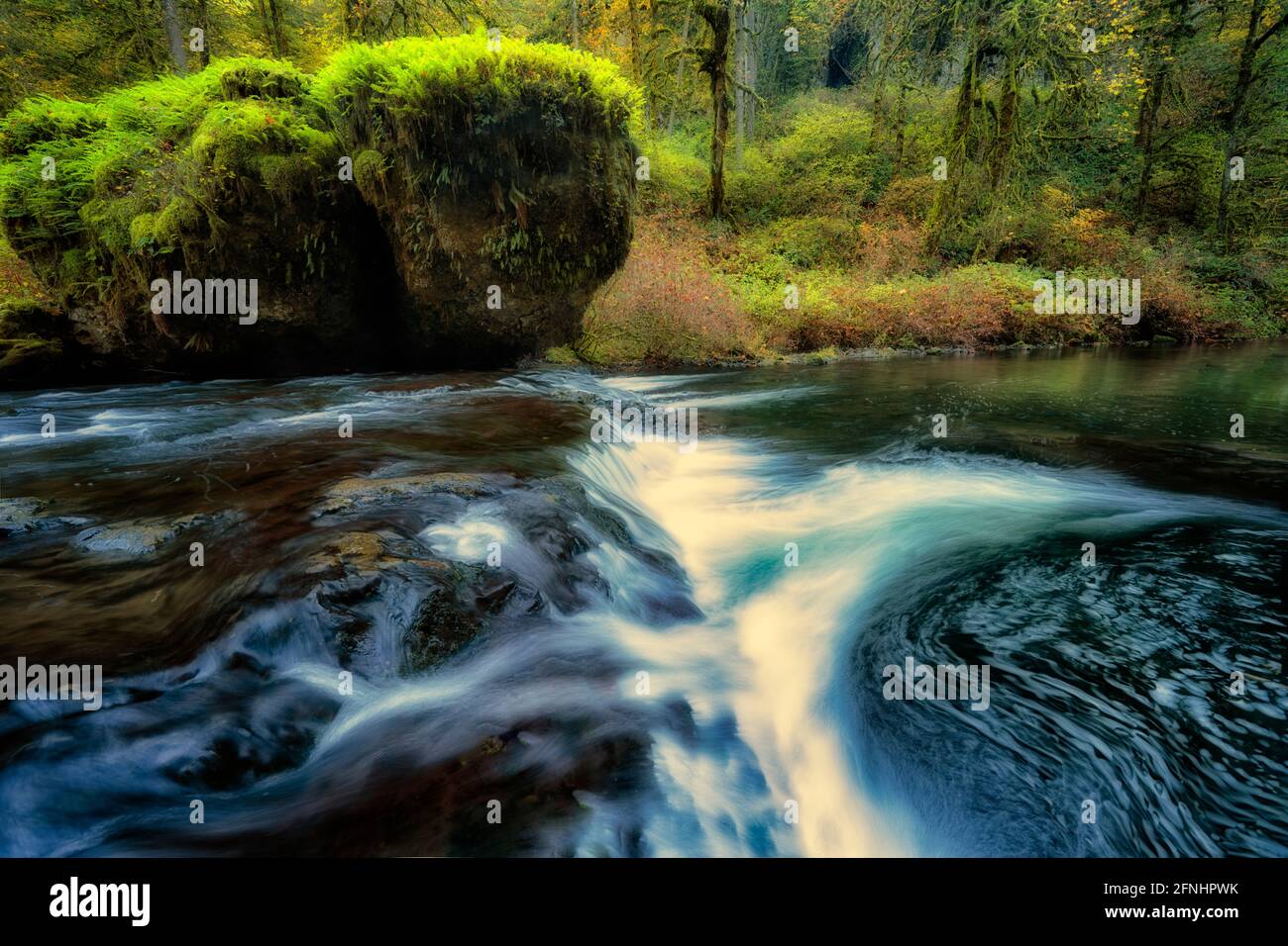 Cascate d'argento ruscello. Silver Falls state Park, Oregon Foto Stock