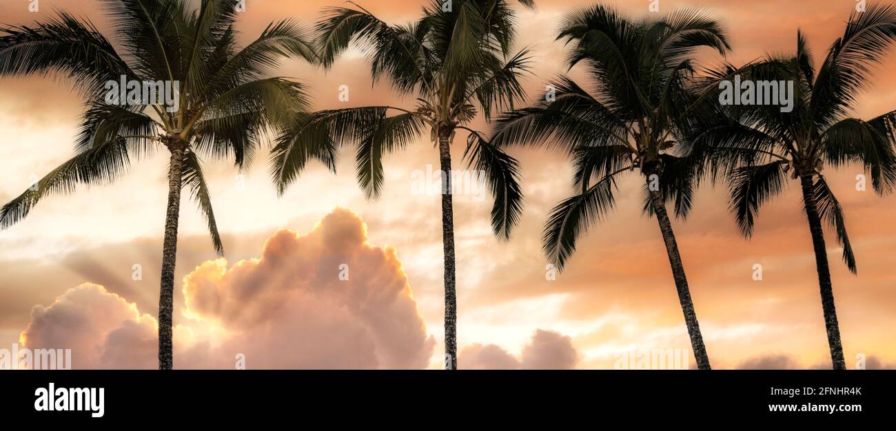 Palme e alba. HJanalei, Kauai, Hawaii Foto Stock
