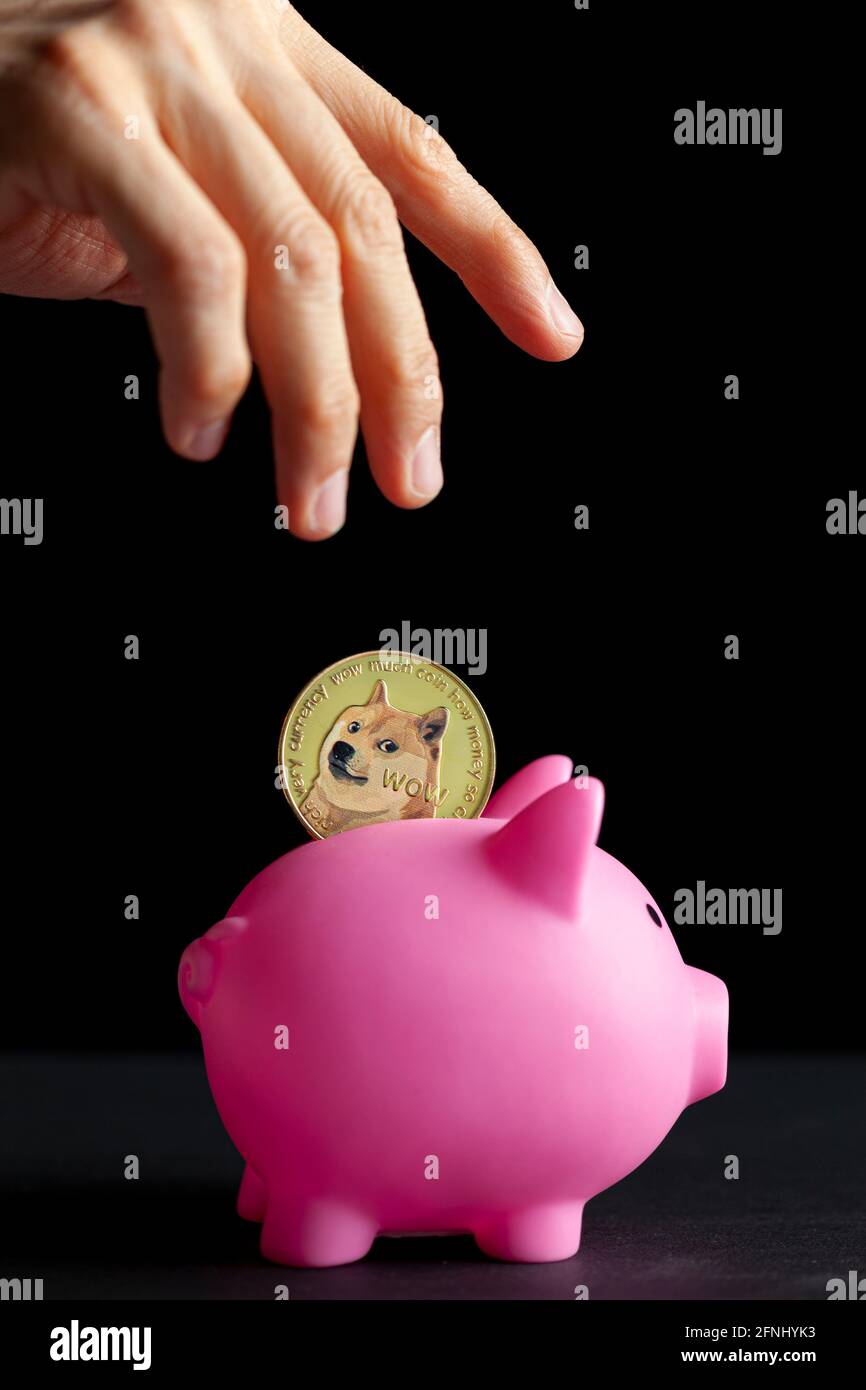 Immagine concettuale per l'utilizzo della valuta crittografica digitale per il risparmio. Una donna caucasica sta mettendo una moneta dogecoina simbolica in una banca piggy come modale di risparmio Foto Stock