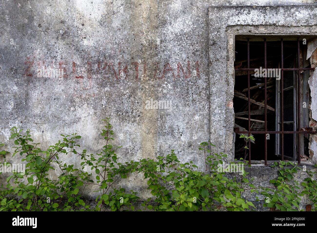 Živeli partizani segno sulle pareti della rovina di una casa in pietra abbandonata, la valle di Vipava , Slovenia Foto Stock