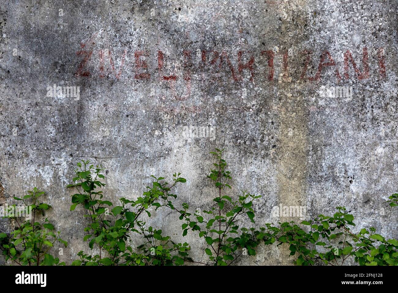 Živeli partizani segno sulle pareti della rovina di una casa in pietra abbandonata, la valle di Vipava , Slovenia Foto Stock
