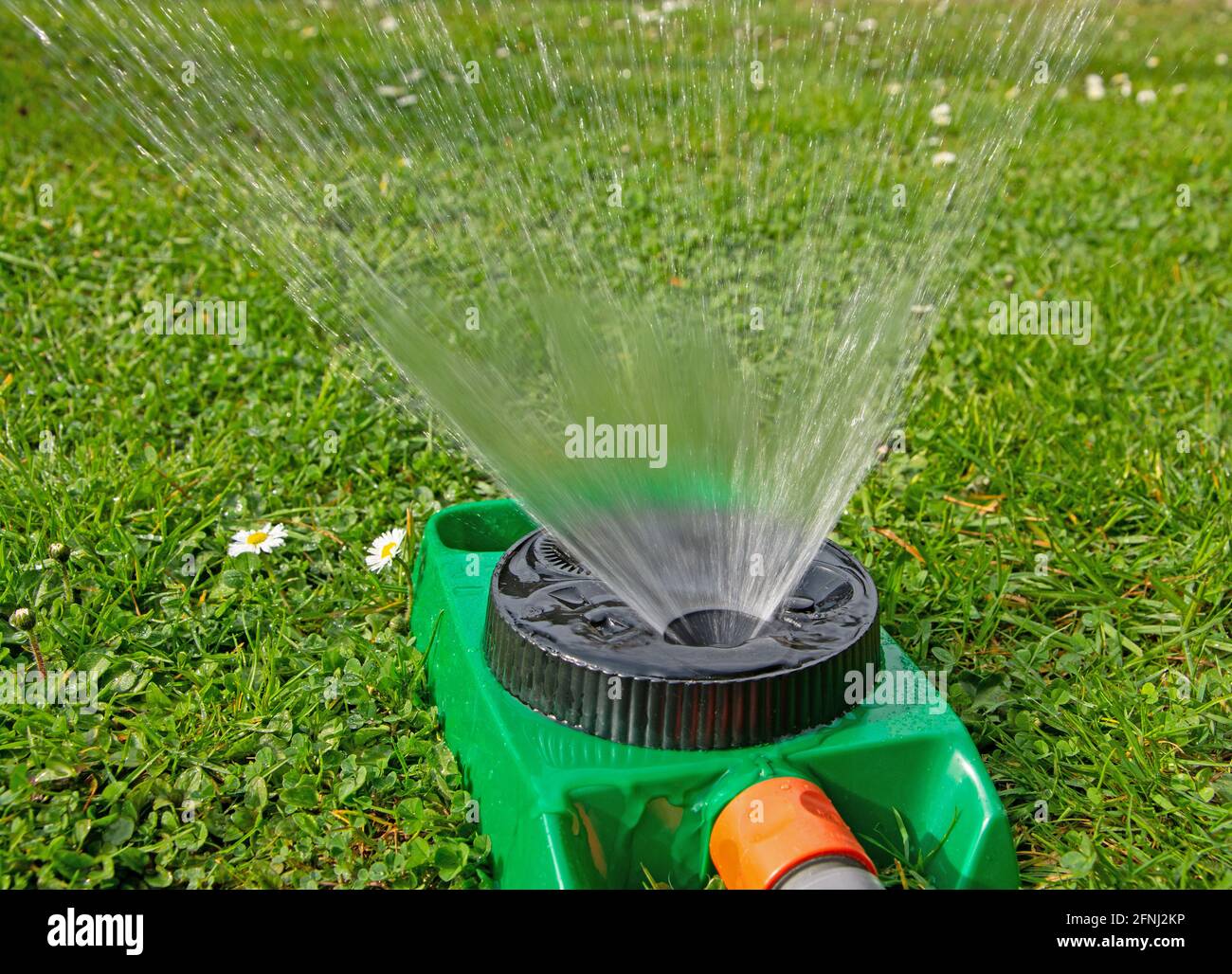 Irrigatore per prato irriga un prato Foto Stock