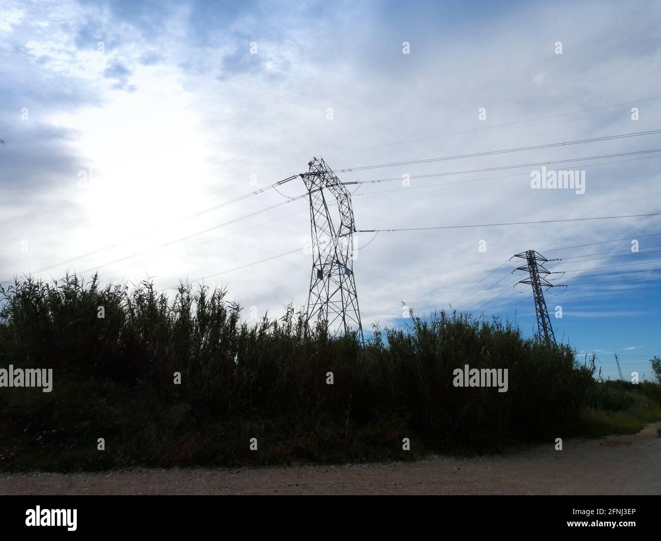 Torri in metallo progettate per trasportare energia elettrica in diversi punti della geografia per fornire energia elettrica a case e aziende. Foto Stock