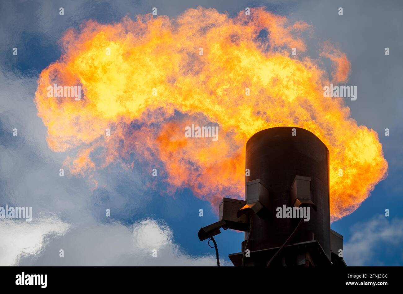 17 maggio 2021, Sassonia-Anhalt, Griebo: Il gas viene bruciato da un impianto di flare mobile presso la stazione dell'operatore di oleodotti a lunga distanza Ontras Gastransport ad Apollensdorf. Ontras rinnova il gasdotto Neugattersleben (Nienburg) - Trajuhn a nord-est di Wittenberg dall'agosto 2019. Questo gasdotto è un importante percorso di trasporto per l'approvvigionamento energetico della Sassonia-Anhalt e delle regioni limitrofe. Prima di poter iniziare il lavoro sulla relativa sezione della tubazione, la pressione attraverso la rete a valle viene abbassata il più possibile. Invece di soffiare fuori il gas residuo nell'atmosfera Foto Stock