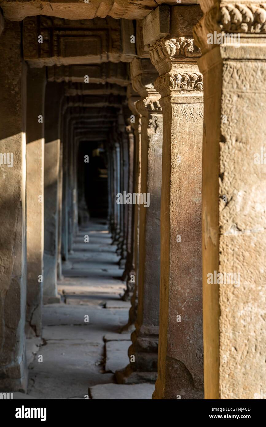 Corridoio e colonne, Tempio di Ta Prohm, Parco Archeologico di Angkor, Siem Reap, Cambogia Foto Stock