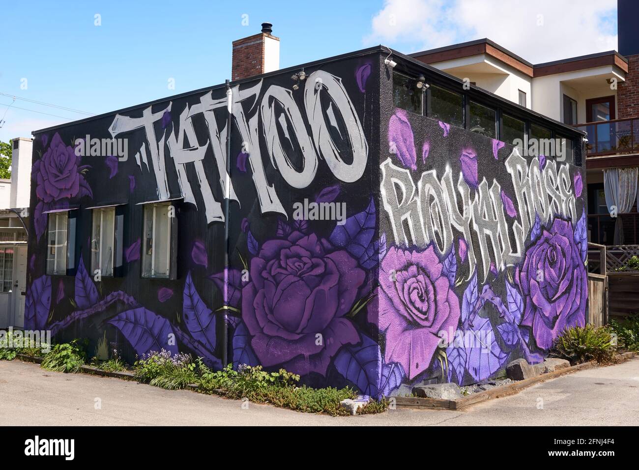 Studio Royal Rose Tattoo a Kitsilano, Vancouver, BC, Canada Foto Stock
