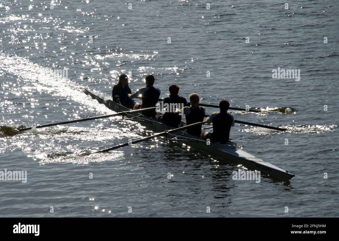 Equipaggio di quattro persone con cox che ruggono verso l'osservatore con il sole glistening sull'acqua e facendo sia la barca che l'equipaggio distinguiti come silhouette Foto Stock