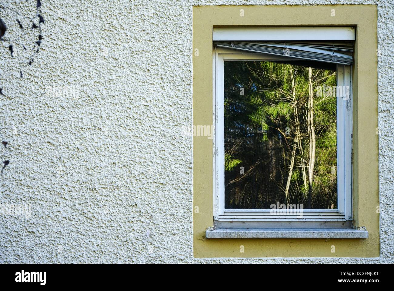 Alberi e case riflesse nella luce del sole di mezzogiorno in finestre di case di fronte. Bellissimi riflessi di alberi e case. Foto Stock