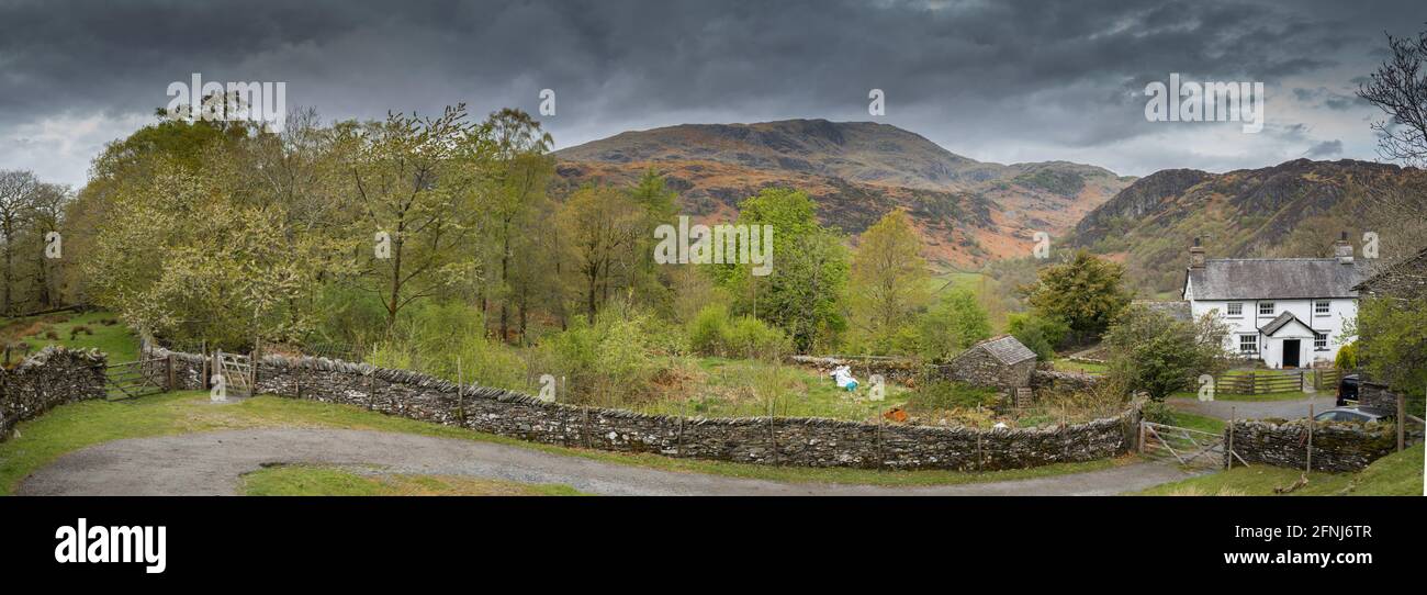 Tradizionale edificio agricolo del distretto del Lago Inglese, in pietra locale costruita con pareti renderizzate e dipinte di bianco. Foto Stock