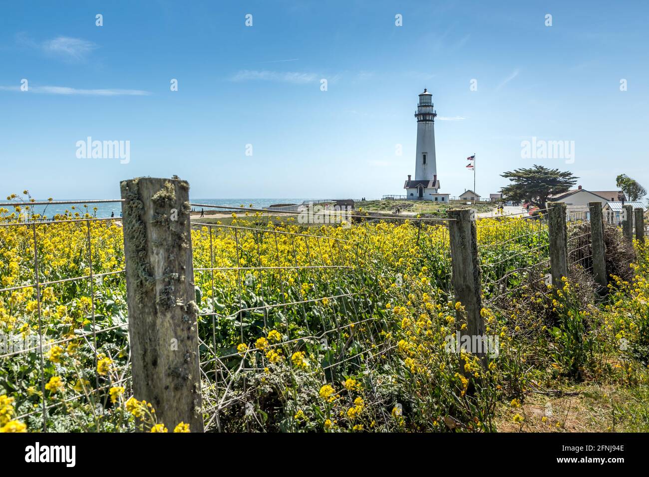Il faro di Pigeon Point sulla costa della California Foto Stock