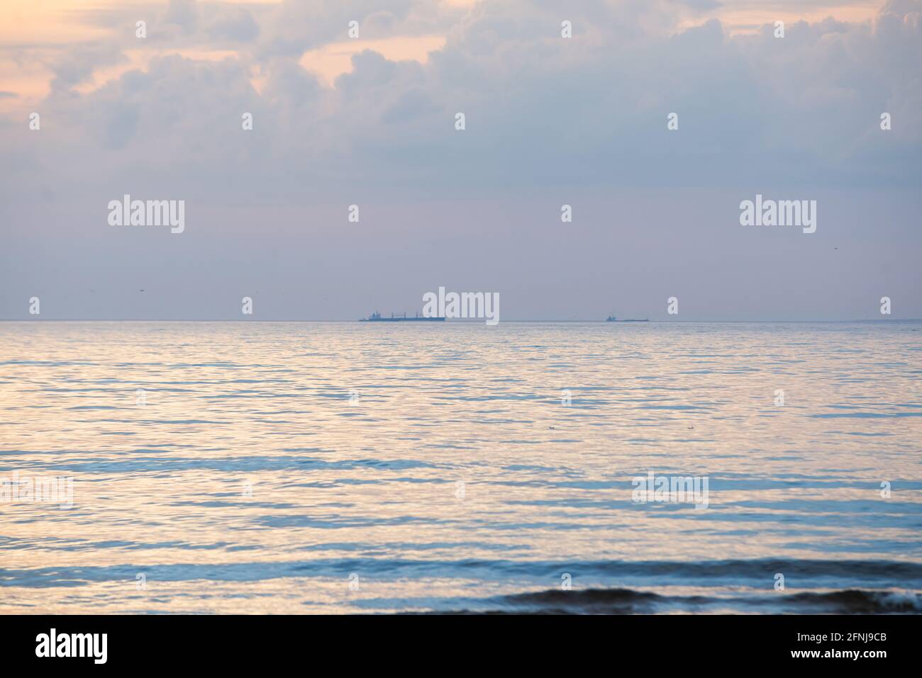 Grandi navi da carico in mare aperto al tramonto. Immagine concettuale. Trasporto di merci, commercio, danno ambientale, problema ecologico, deforestazione, Foto Stock