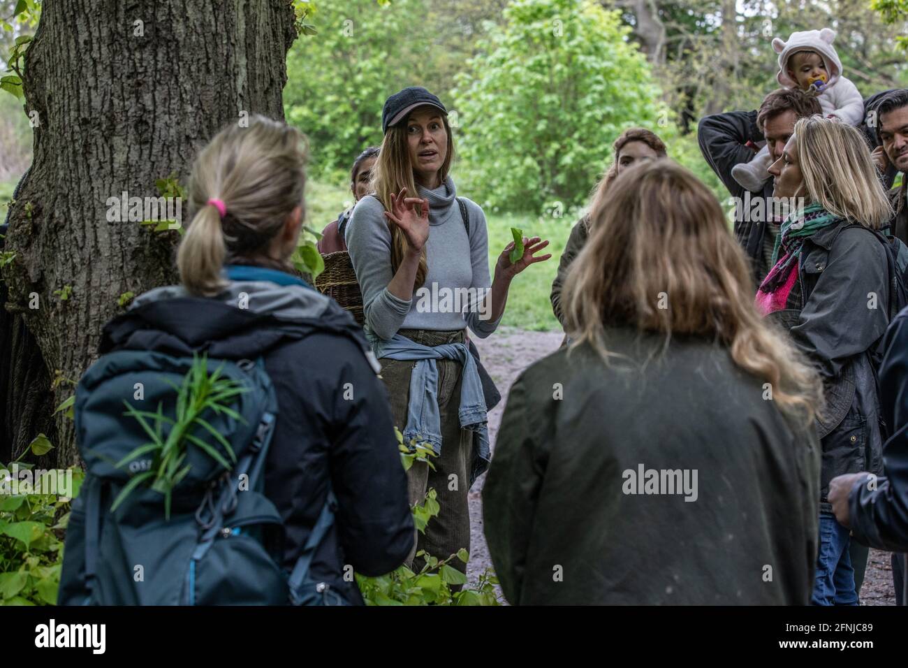 Con la facilità delle restrizioni di blocco e il tempo diventa più caldo i tour guidati di Foraging stanno diventando popolari attraverso Hampstead Heath, Londra, Inghilterra, Regno Unito Foto Stock