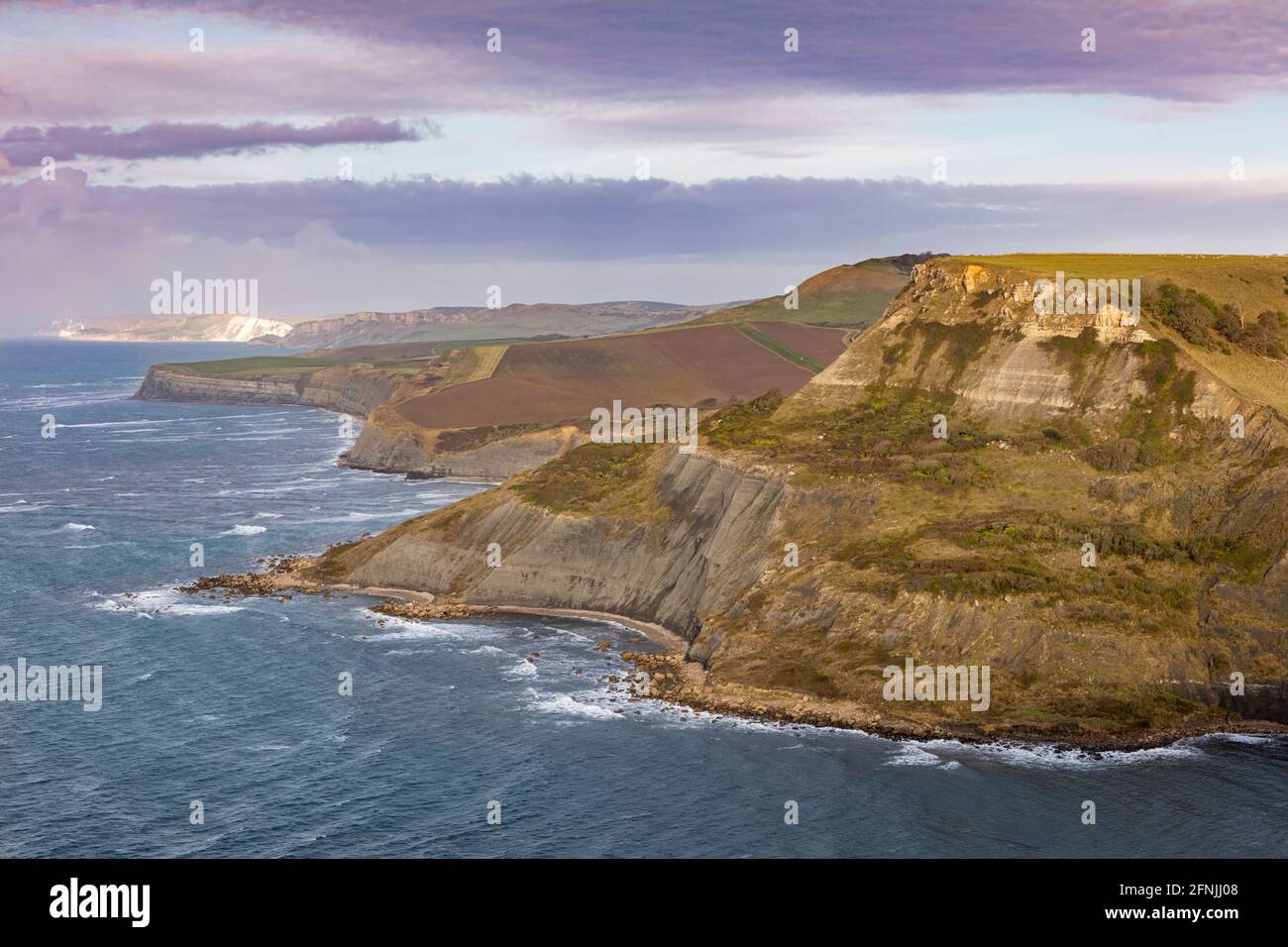 Mattina presto sopra la testa di Sant'Aldhelm e la Costa Jurassic, Dorset, Inghilterra, Regno Unito Foto Stock