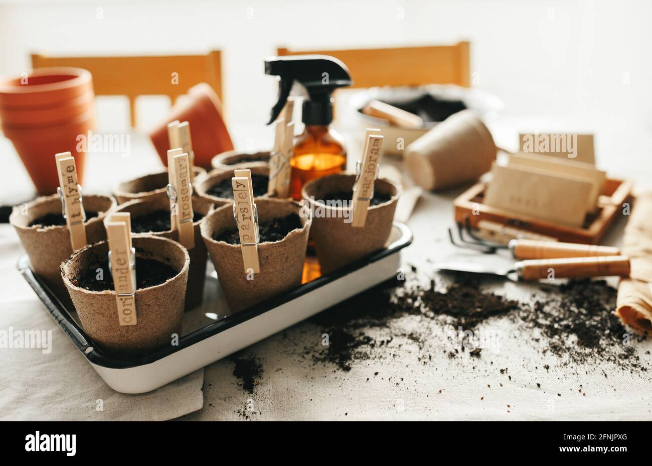 Semi, pentole, attrezzi di giardinaggio. Giardinaggio domestico Foto Stock