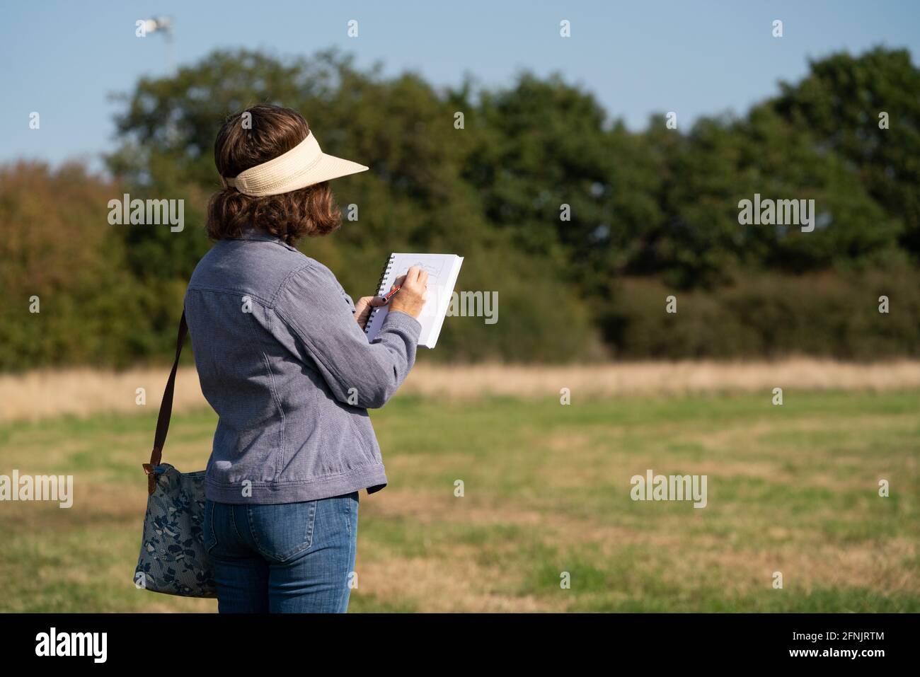 Paradise Fields, Horsenden Hill, perivale, greenford, ealing, londra, inghilterra Foto Stock