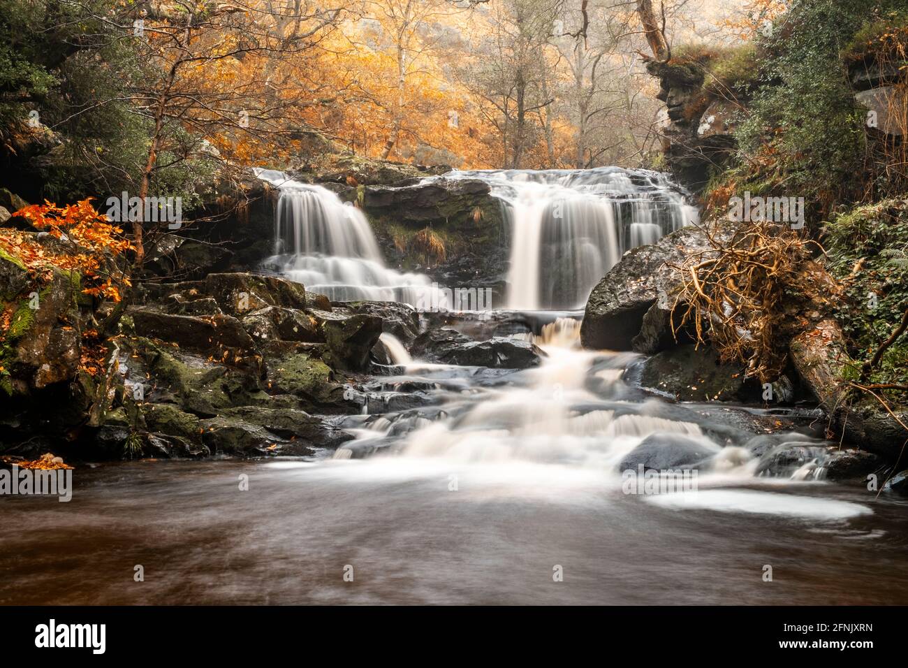 Autunno a Water Ark Foss, Goathland. North York Moors Foto Stock