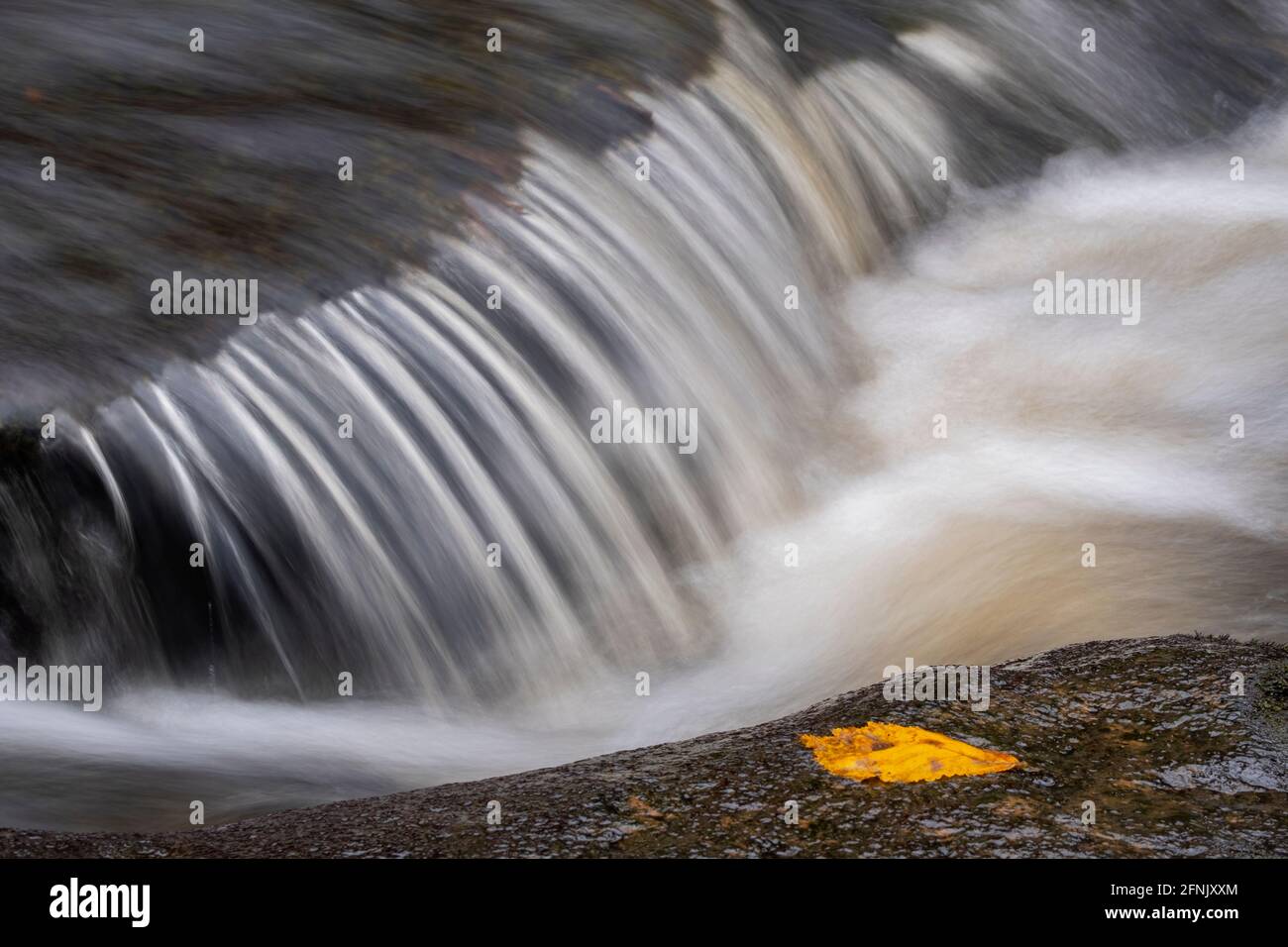 Una piccola cascata astratta sui North York Moors Foto Stock