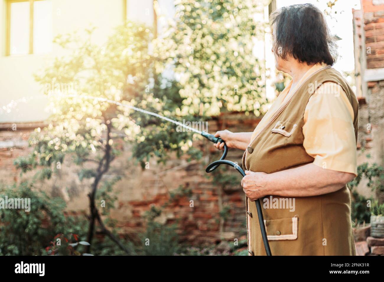 Donna anziana che tiene tubo di giardinaggio, annaffiatura giardino Foto Stock