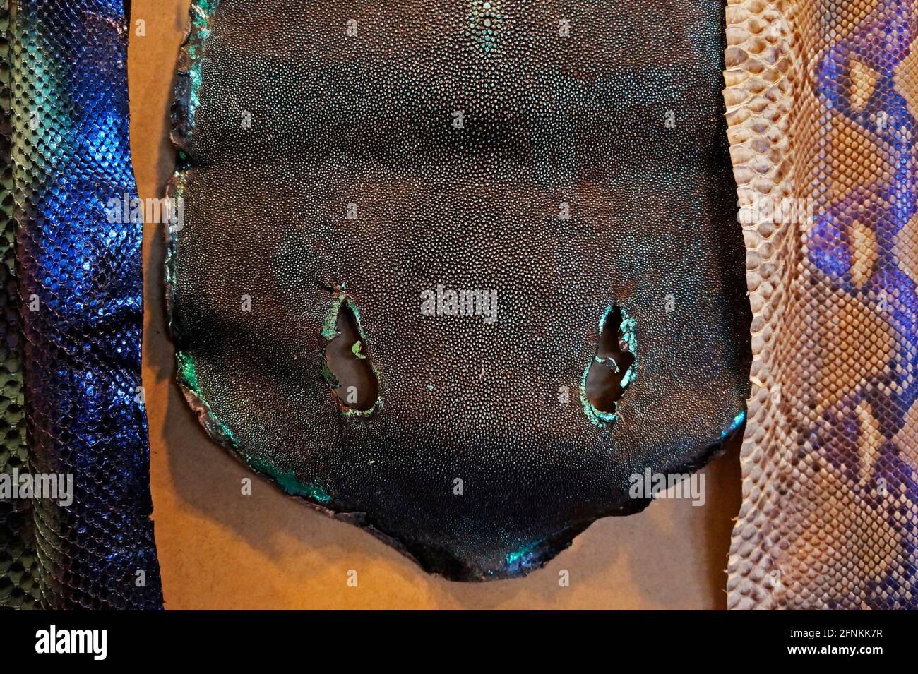 Pelle di Stingray e altre pelli di animali Foto Stock