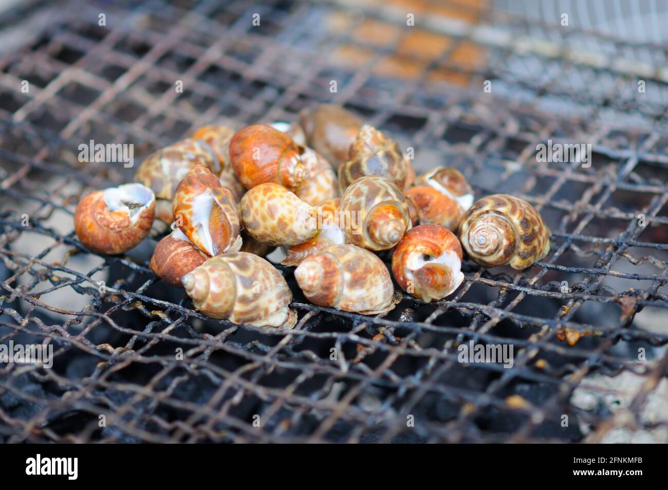 Lumache alla griglia Foto Stock