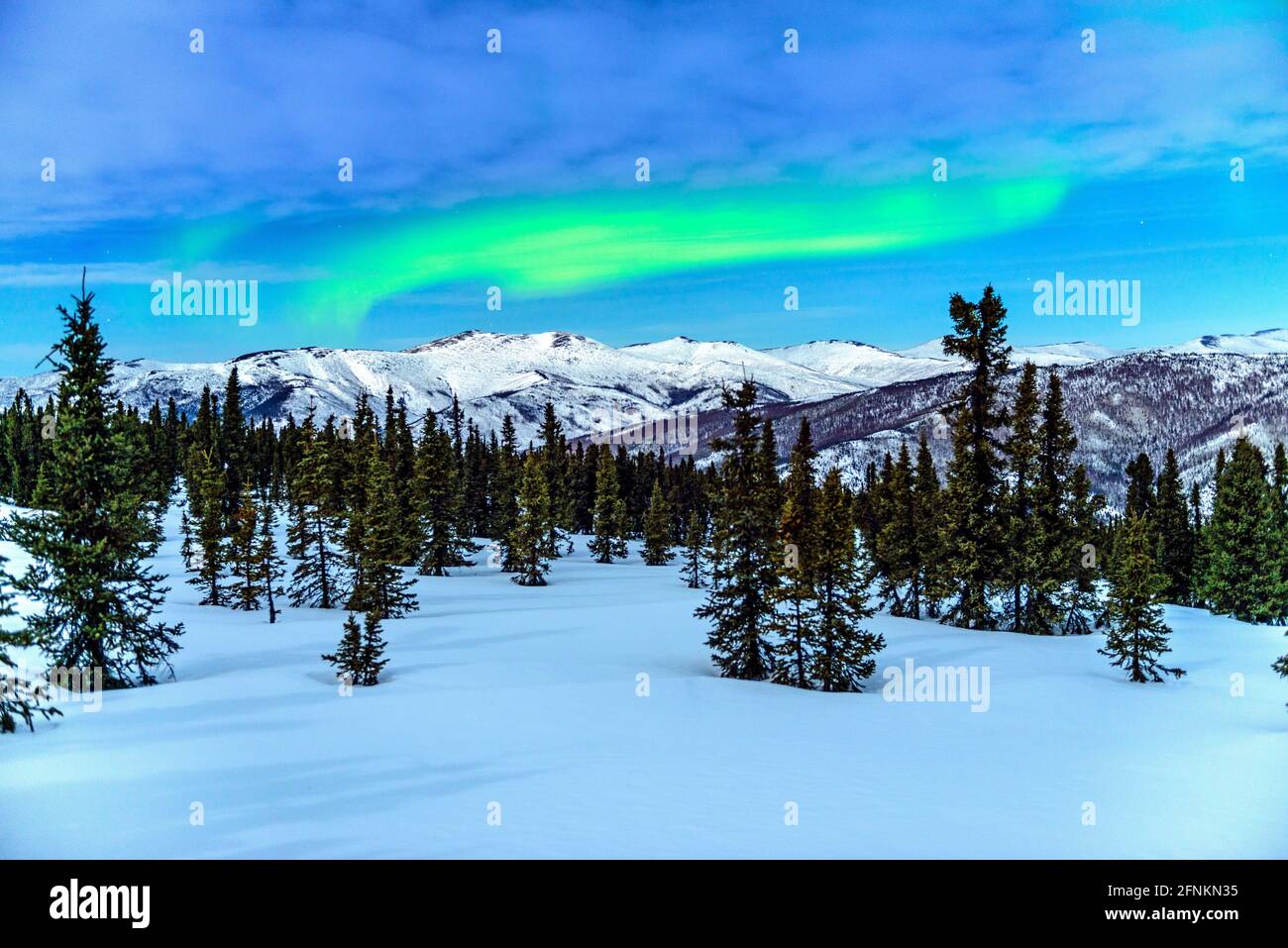 Aurora borealis sotto una luna piena, Chena Hot Springs, Alaska Foto Stock