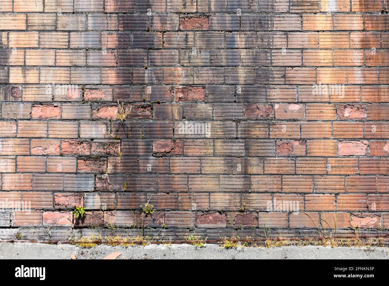 Mattoni insoliti con un modello scanalato in una vecchia parete che sta mostrando la sua età con pezzi del mattone barella che cade via con il tempo Foto Stock