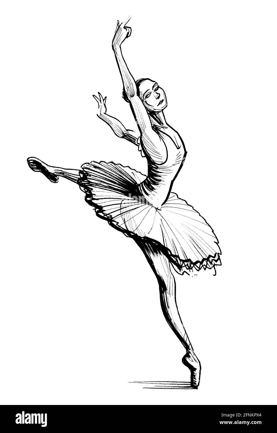 Ballerina bella danza. Disegno in bianco e nero con inchiostro Foto stock -  Alamy