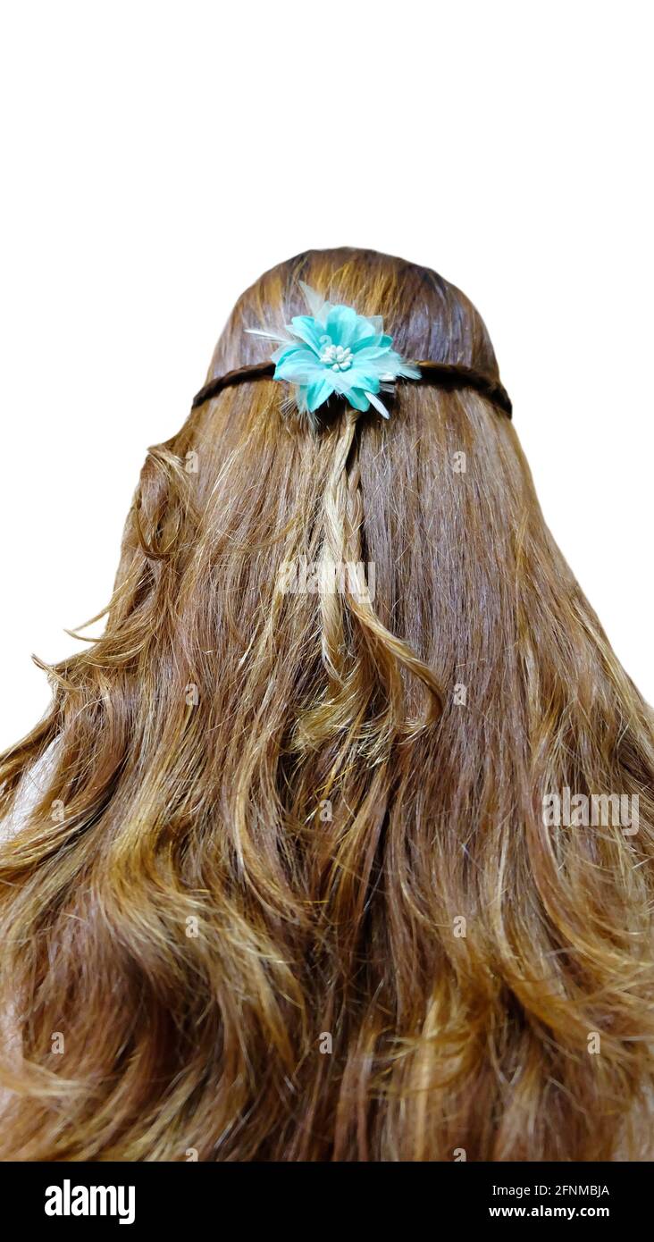 Vista posteriore di una giovane donna con lunghi capelli brunette con estremità riccia, Foto Stock