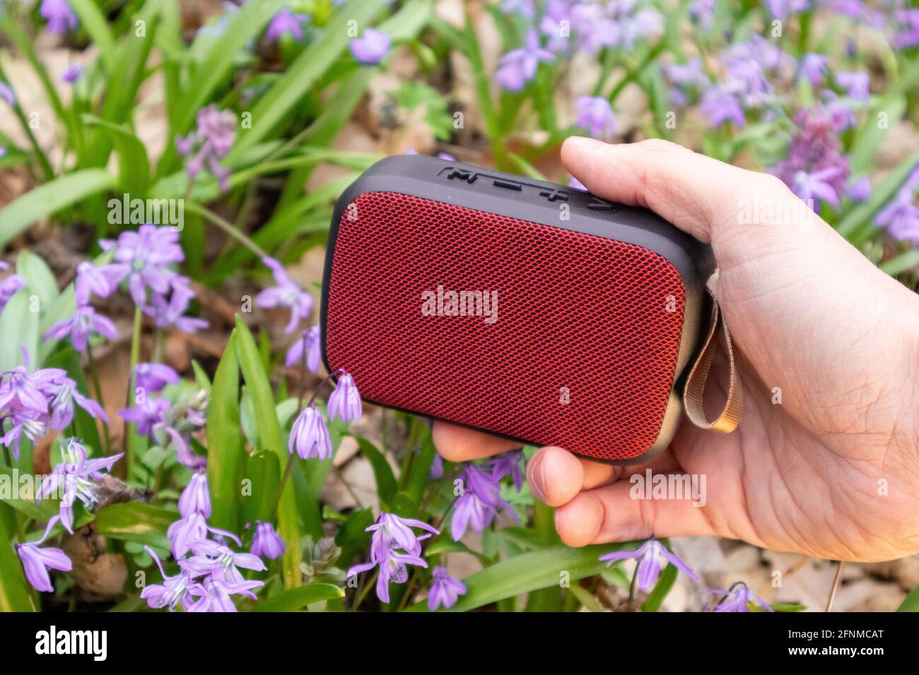 Altoparlante audio portatile rosso con supporto a mano in un primo piano naturale. Fiore selvaggio primavera prato viola fiori sfondo. Porta la musica con te all'aperto Foto Stock