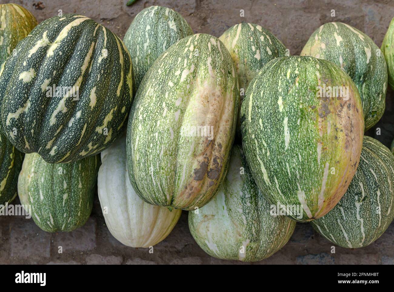 Cenere Gourd Kumhada è conosciuto come petha e anche come kushmand. In inglese è conosciuto come gourd di cenere. Foto Stock