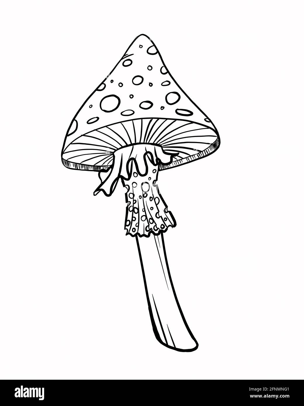 Disegno a fungo art. Illustrazione delle linee digitali Foto Stock