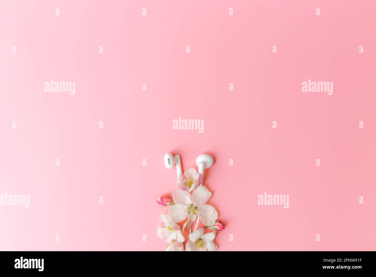 Gli amanti della musica o della musica fresca si stendano in piano su rosa sfondo con fiori di mela e auricolari bianchi Foto Stock