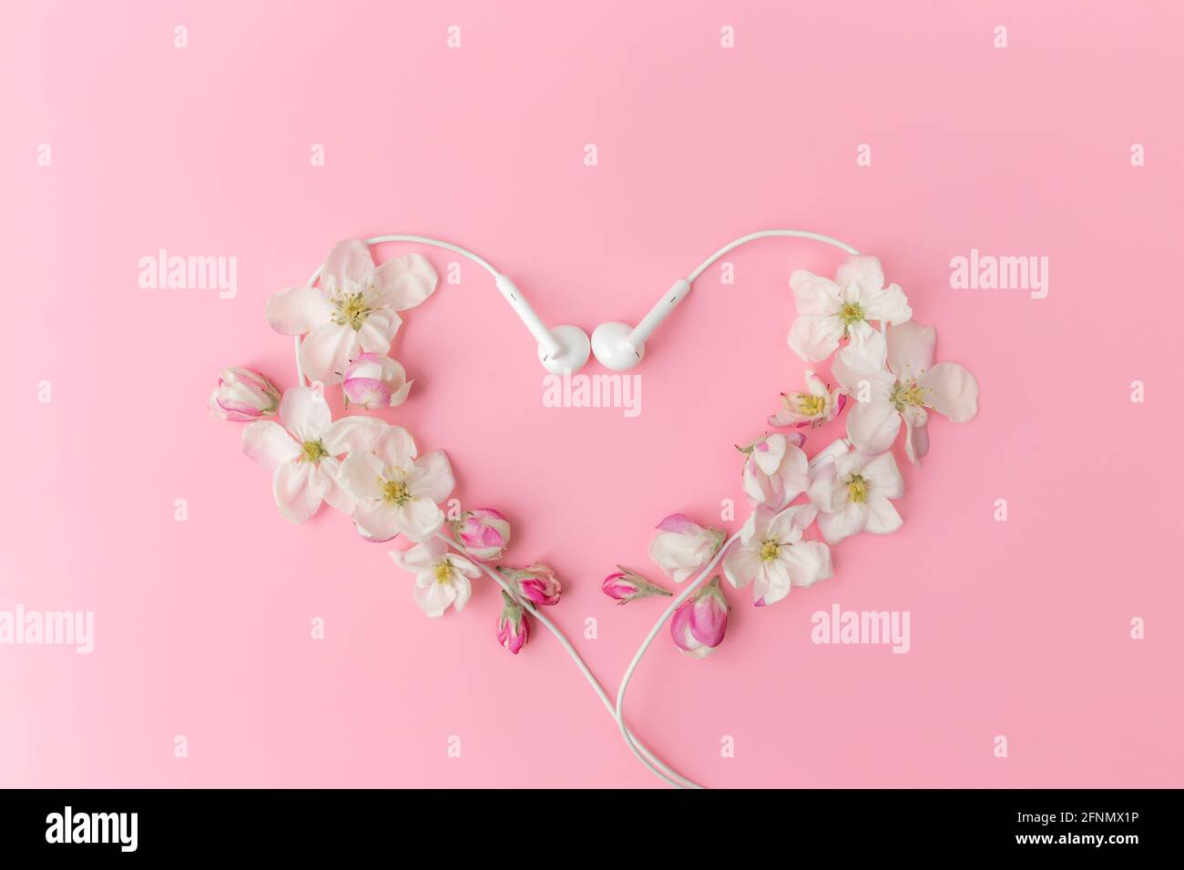 Il concetto di amante della musica piatto si stese su sfondo rosa con mela contorno ornamentale a forma di cuore fiorito e auricolari Foto Stock