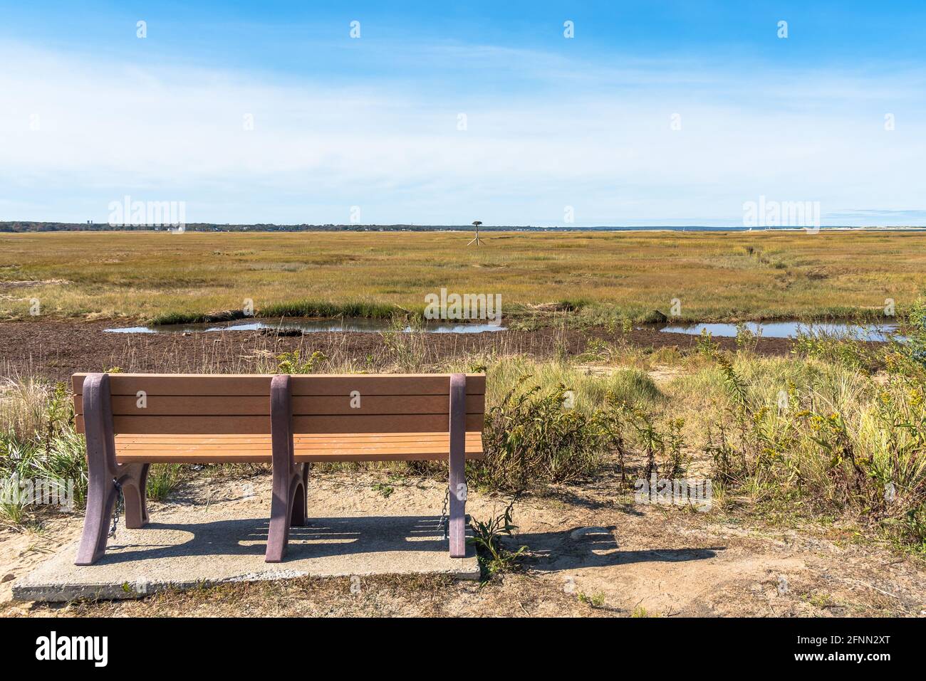Panca vuota di fronte ad una bella palude erbosa costiera su un giorno autunnale chiaro Foto Stock
