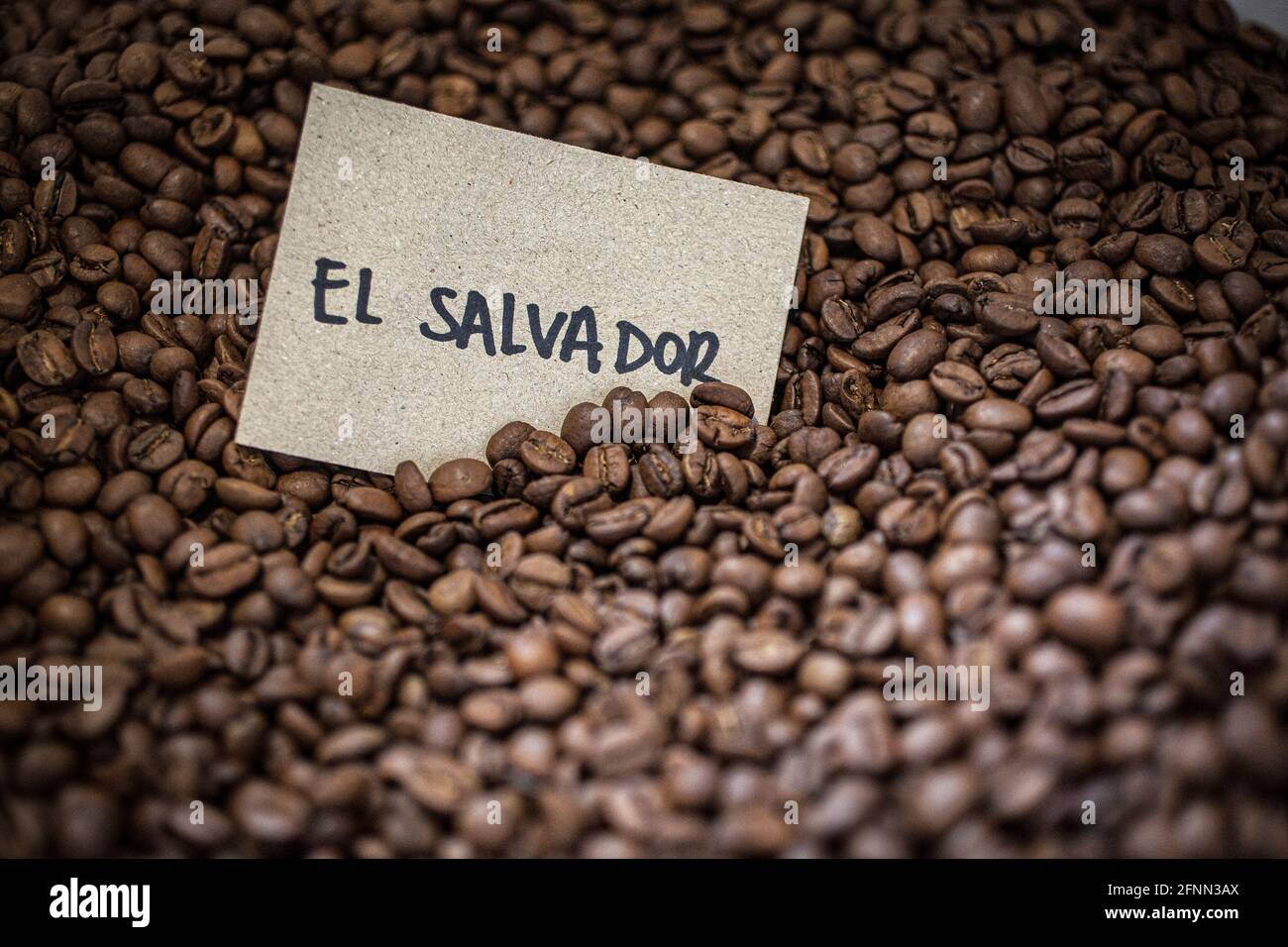 Caffè in grani, El Salvado, America Centrale Foto Stock