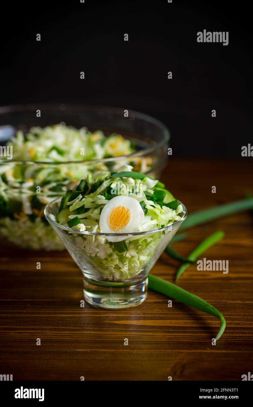 insalata di primavera con cavolo, cetrioli, uova e cipolle verdi su un tavolo di legno. Foto Stock