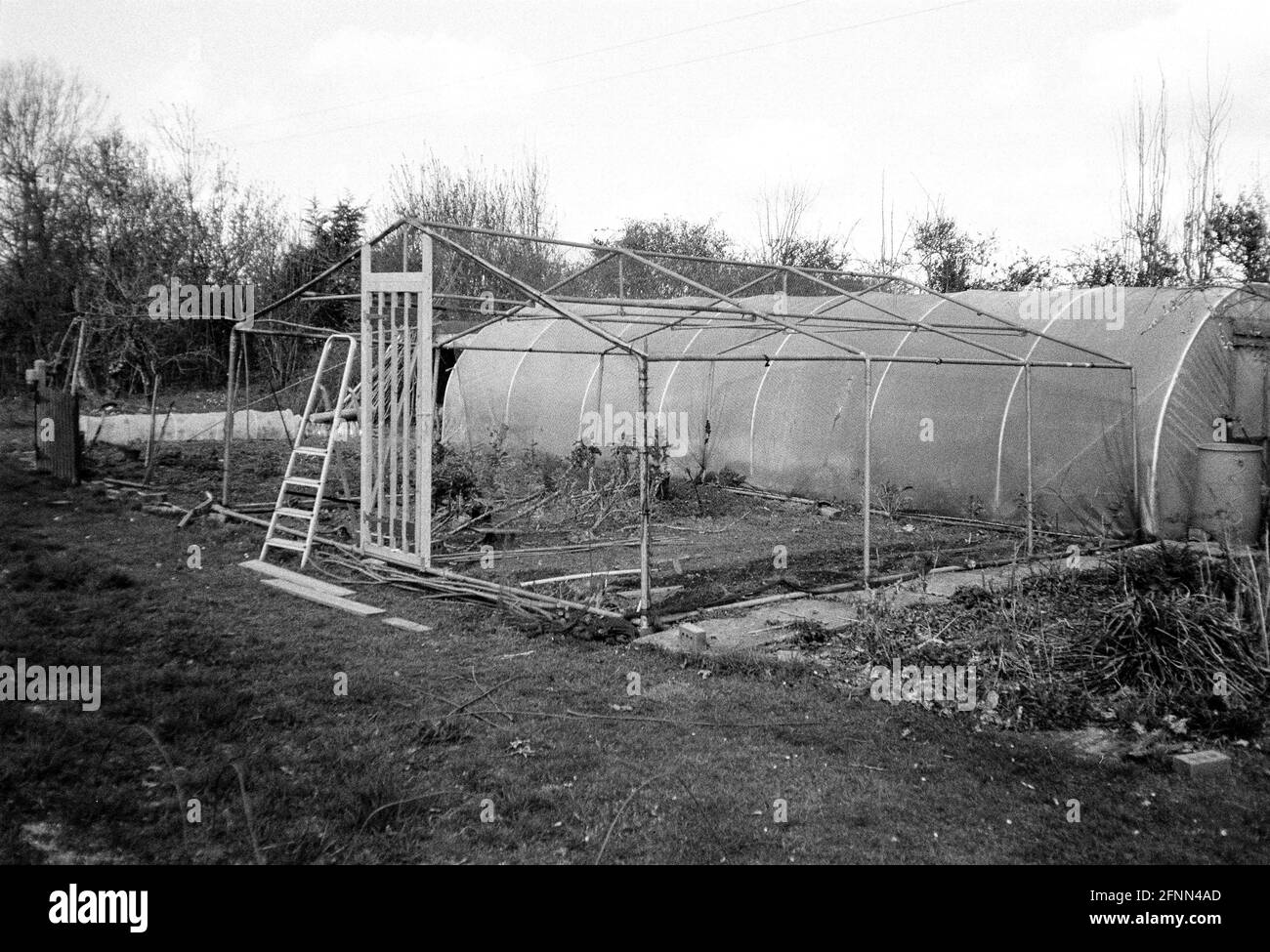 Gabbia di frutta e tunnel di poly, Hattingley, Hampshire, Inghilterra, Regno Unito. Foto Stock