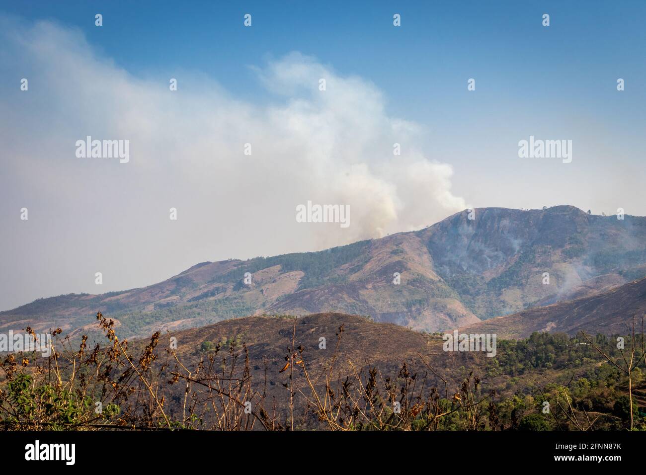 La foresta che brucia sopra la collina con immagine di nuvola di cenere è presa a kodaikanal tamilnadu india. In questa immagine si può vedere la nuvola di cenere della foresta in fiamme. Foto Stock