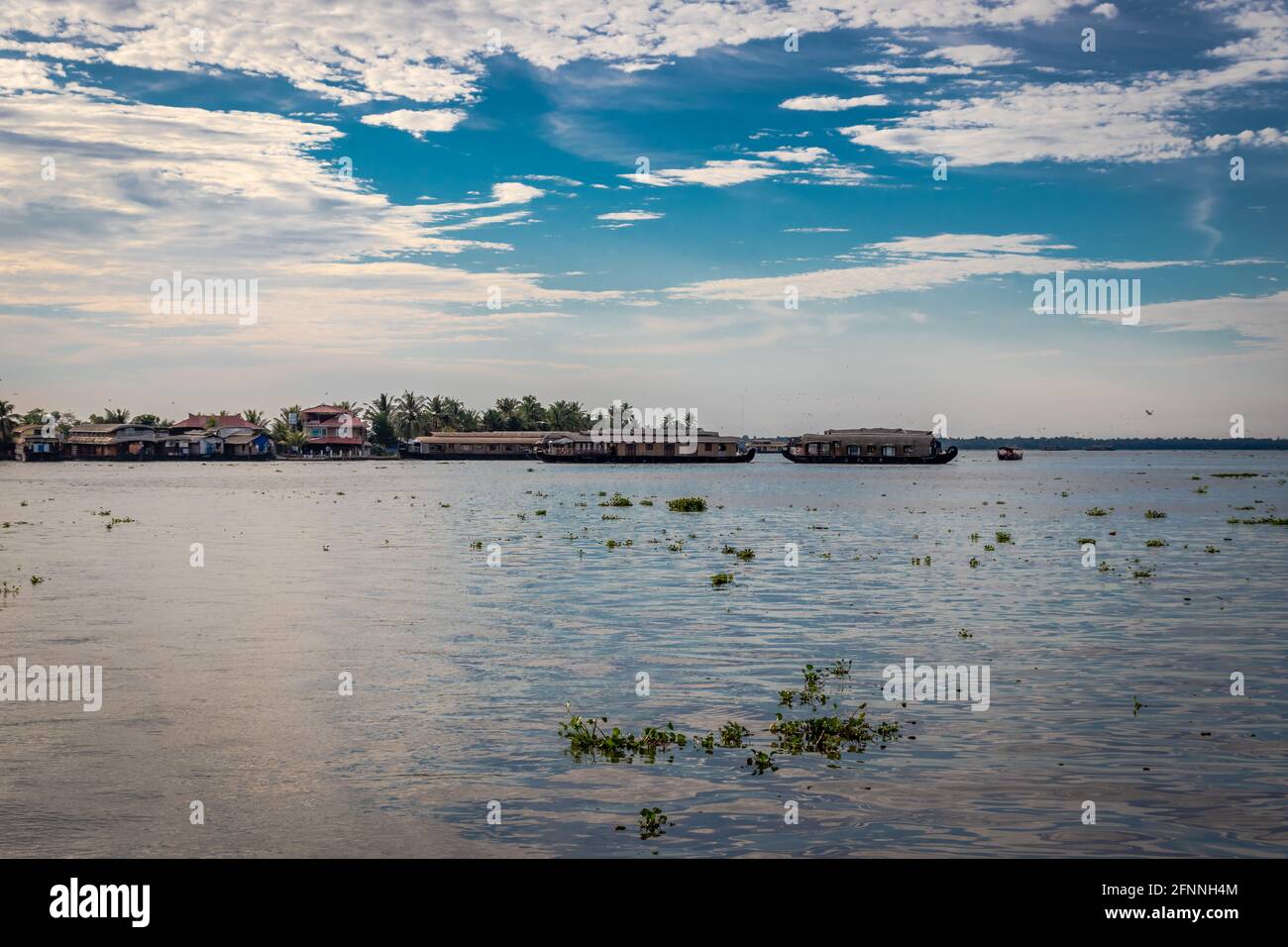 Vista sul backwater ad alleppey kerala india con cielo blu e. albero delle palme Foto Stock