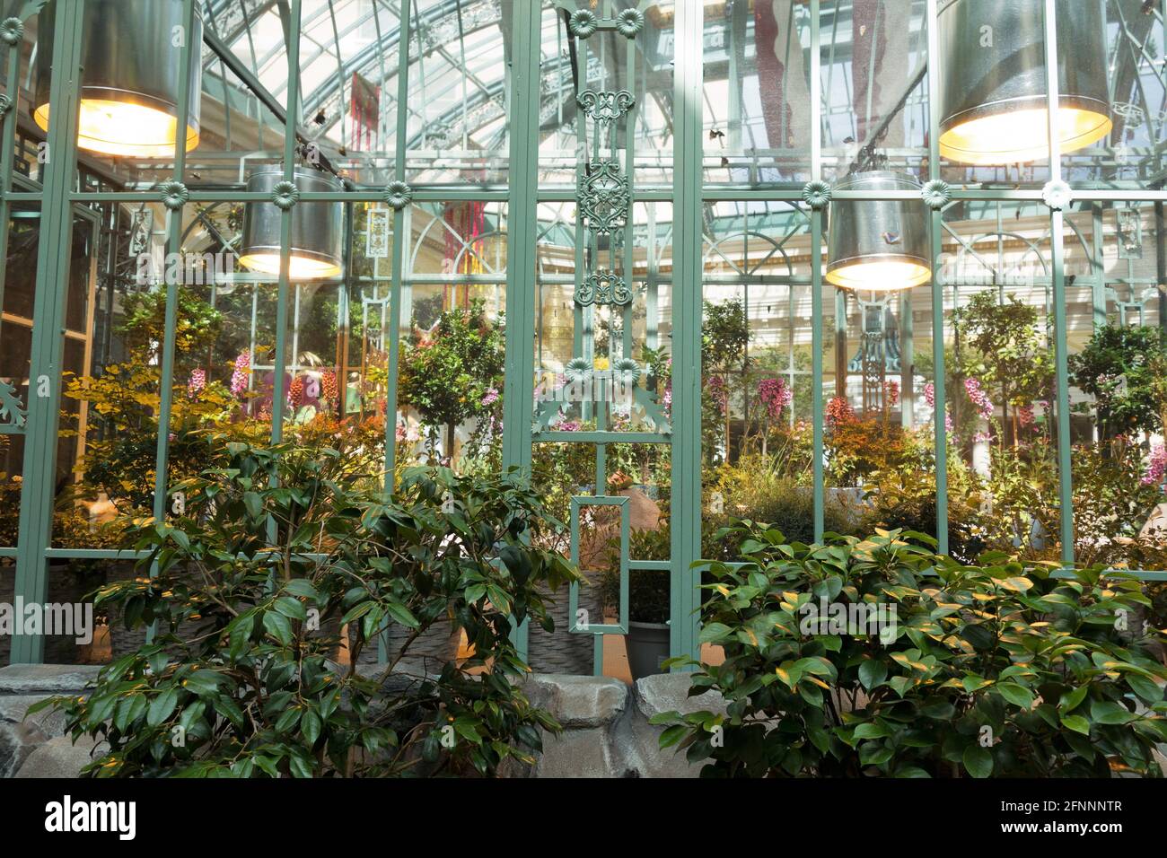 L'habitat delle farfalle presso il Bellagio Conservatory e i Giardini Botanici di Las Vegas, Nevada. Foto Stock