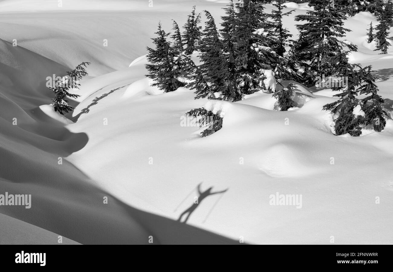 L'ombra dello sciatore di backcountry al Passo Turnagain nell'Alaska centro-meridionale. Foto Stock