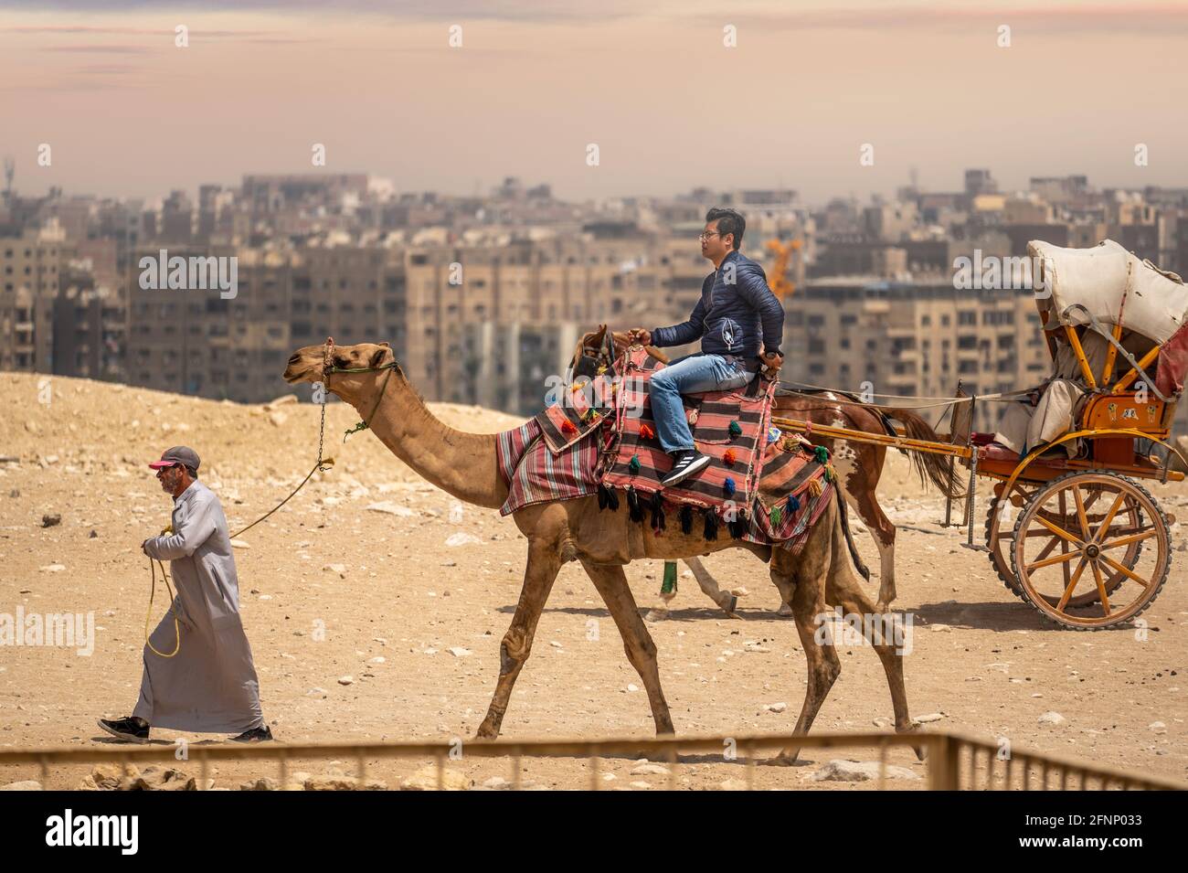CAIRO, EGITTO - MAGGIO 18 2021: Il camel beduino guida un turista asiatico dalla Cina su un cammello, sull'altopiano di Giza. Viaggio turistico asiatico in Egitto. Camma Foto Stock