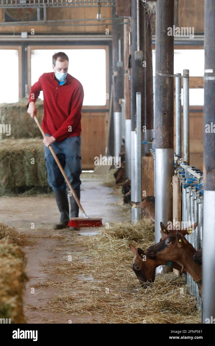 Fattoria di capra. Au CÏur de Montjoie. Saint-Gervais. Francia. Foto Stock