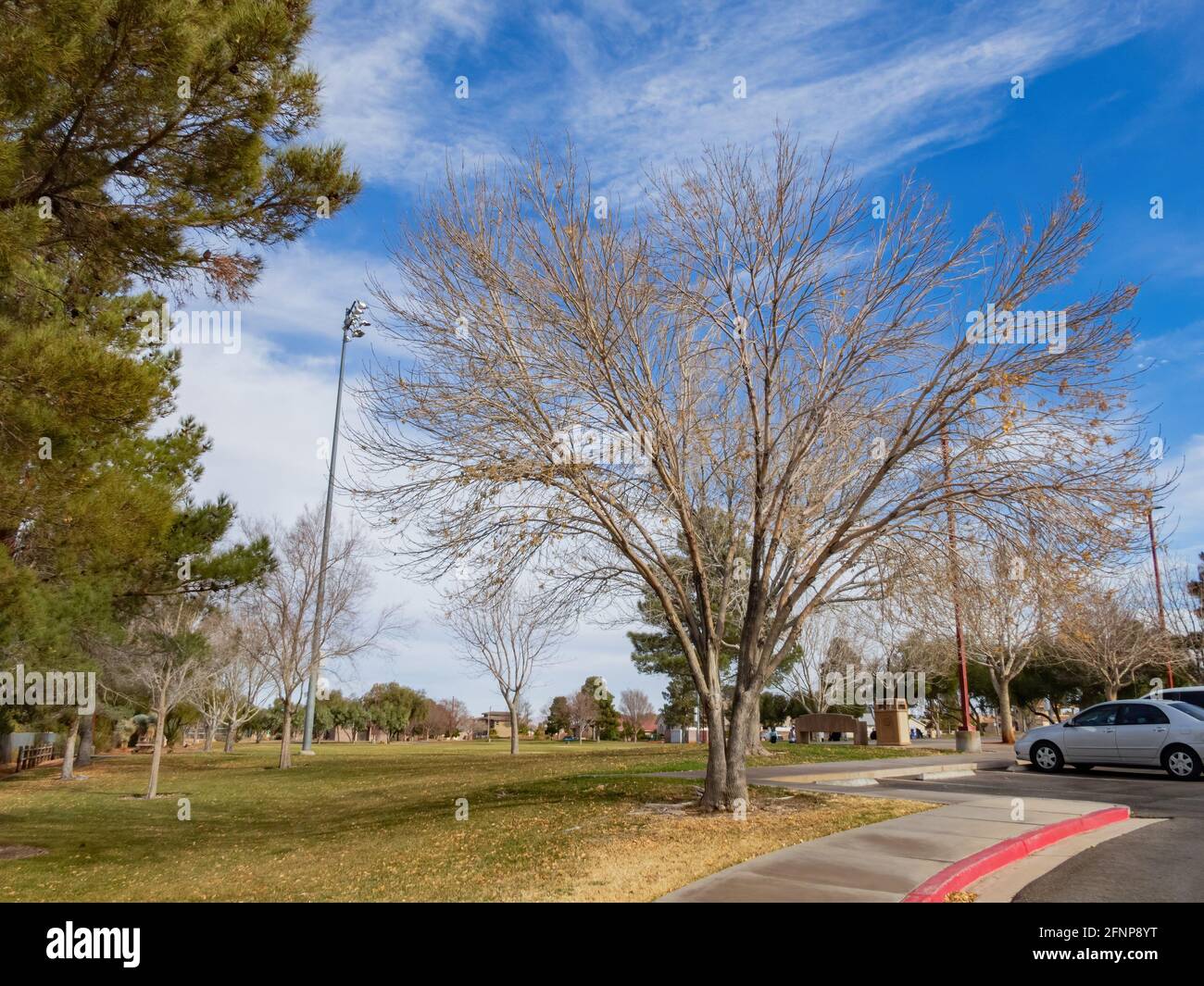 Vista soleggiata dell'Hayley Hendricks Park a Henderson, Nevada Foto Stock