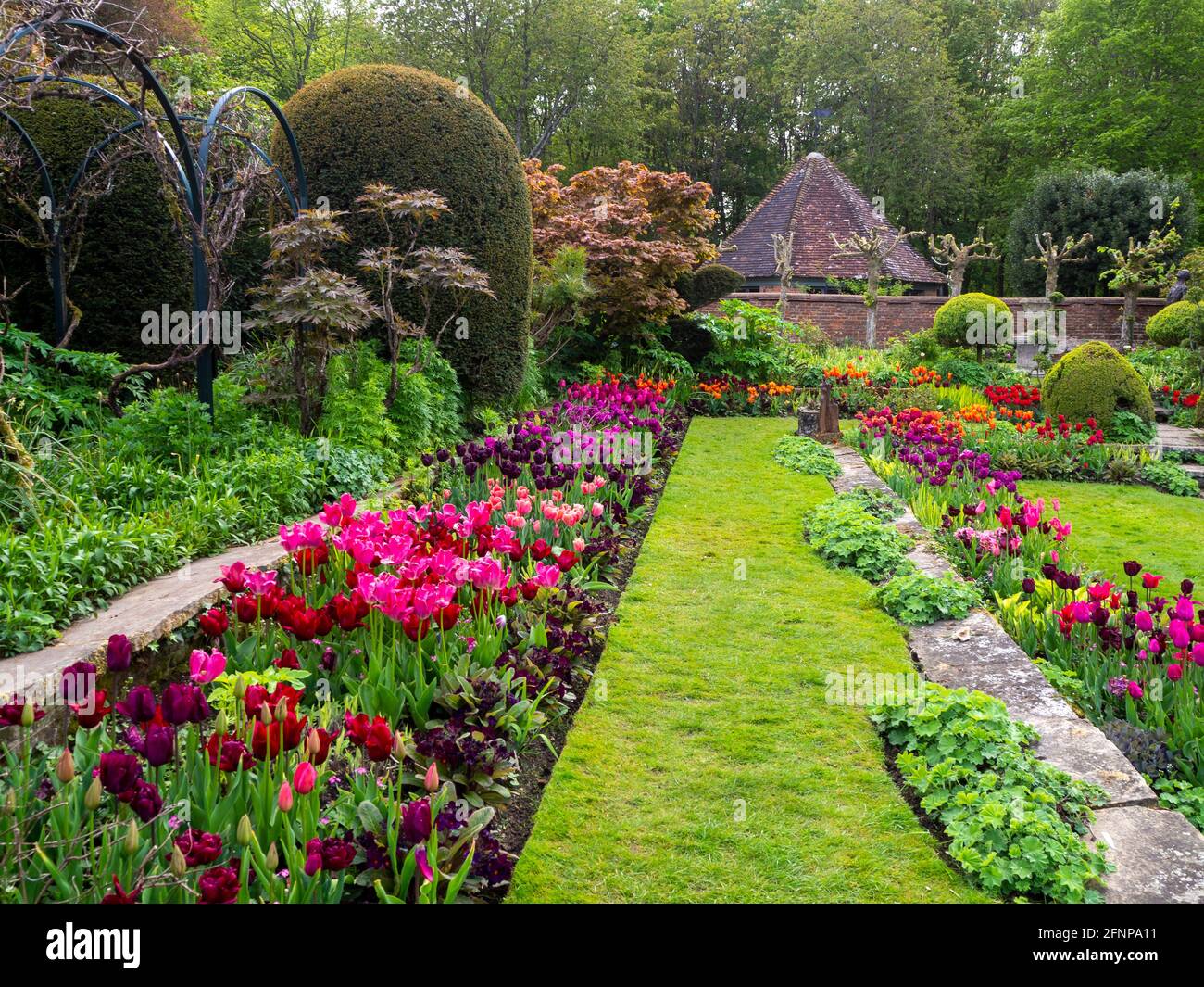 Chenies Manor Sunken Garden a maggio con colorate varietà di tulipani arancio, viola e rosso in fiore. Foto Stock