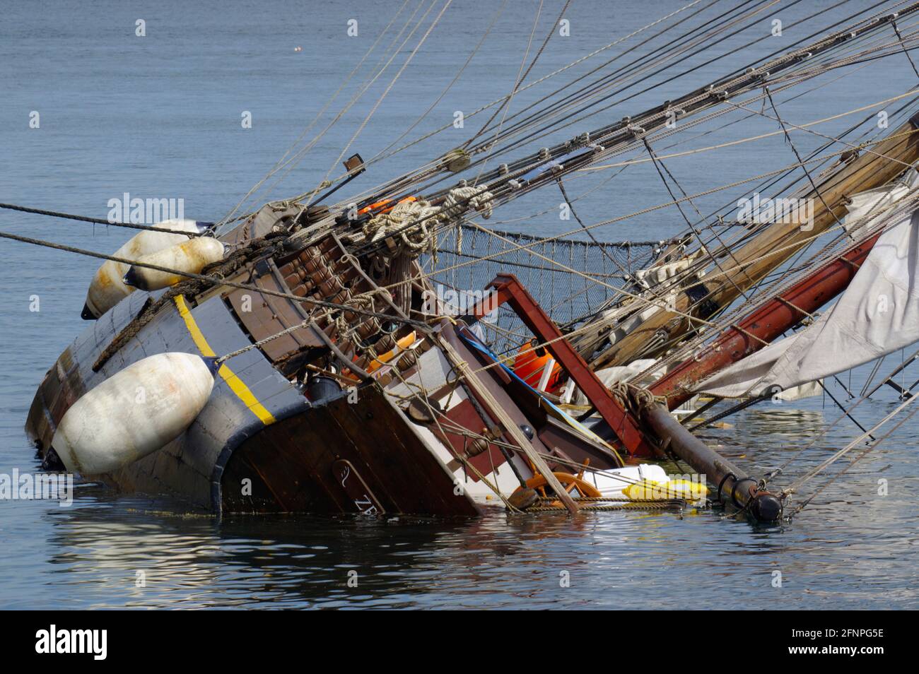Zebù, Tall Ship corrono intorno al porto di Holyhead Foto Stock